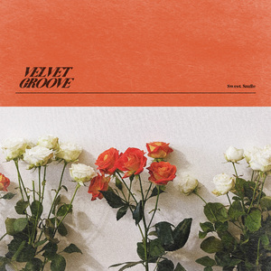 老师扒下内裤让我爽了一夜视频网站
